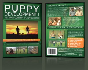 PUPPY DEVELOPMENT I DVD